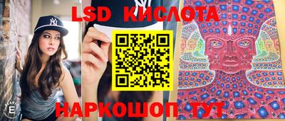mdma Сланцы