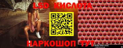 mdma Сланцы